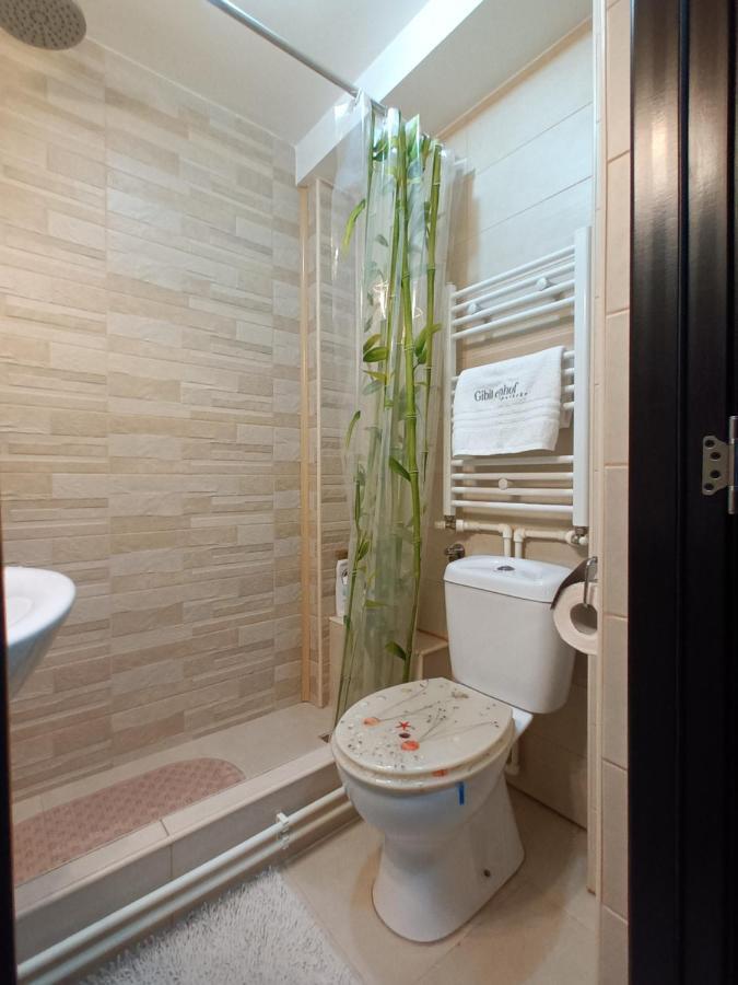 Studio Central Hunedoara Ngoại thất bức ảnh