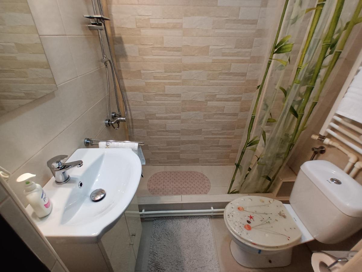 Studio Central Hunedoara Ngoại thất bức ảnh