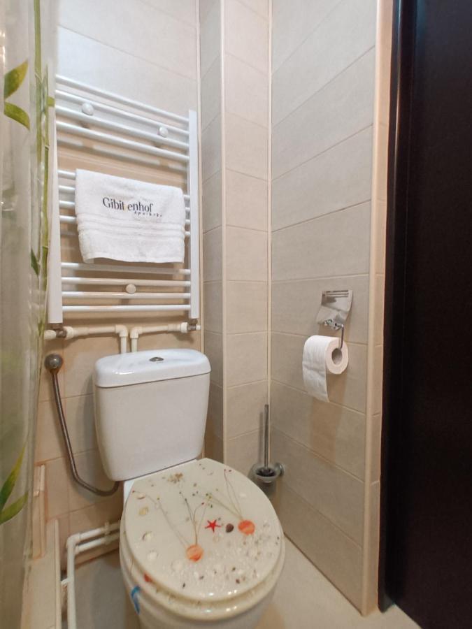 Studio Central Hunedoara Ngoại thất bức ảnh